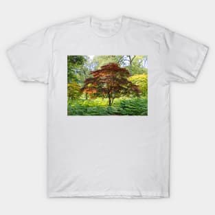 Copper Beech Tree T-Shirt